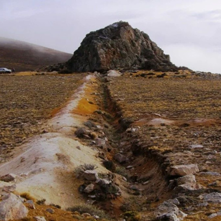 Calcatreu ya produce y en mayo realizará su primera exportación a Canadá