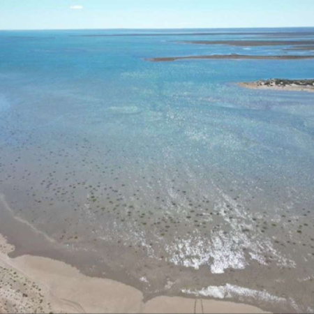 Descubren estructuras microbianas generadas por mareas extremas