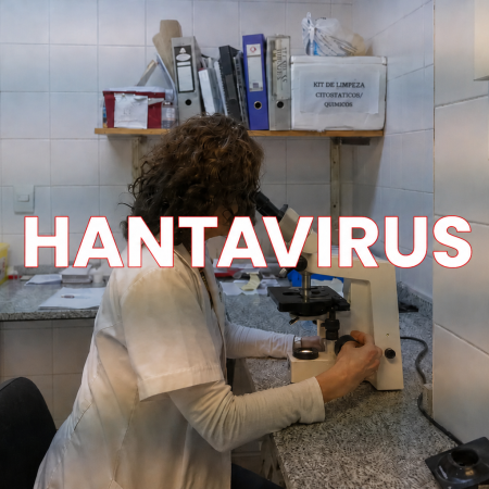 Hantavirus en Bariloche: confirmaron la cepa Andes
