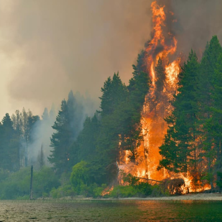 Baguales expone la disputa por la Patagonia: agua pública, capital extranjero y fuego