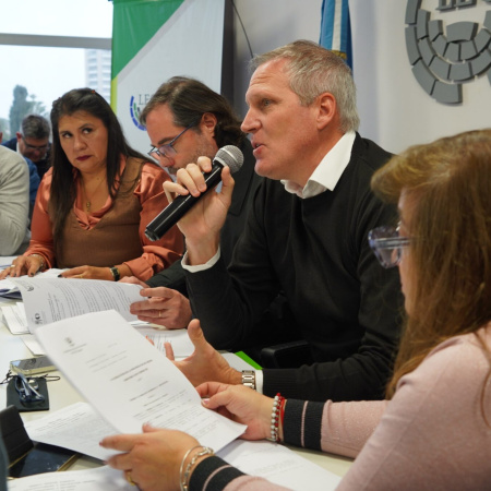 Río Negro avanza con la adhesión al RIMI para acelerar beneficios a empresas