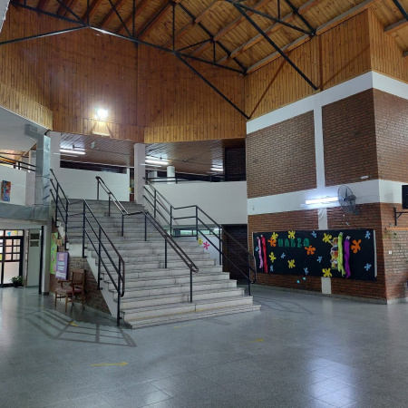 Padres frenarán las clases por murciélagos en una escuela de Roca