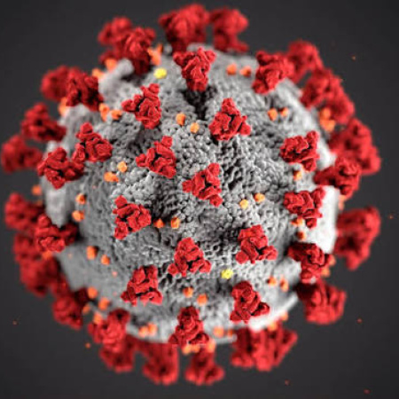 Alerta científica: la falta de control en virus amenaza con otra pandemia