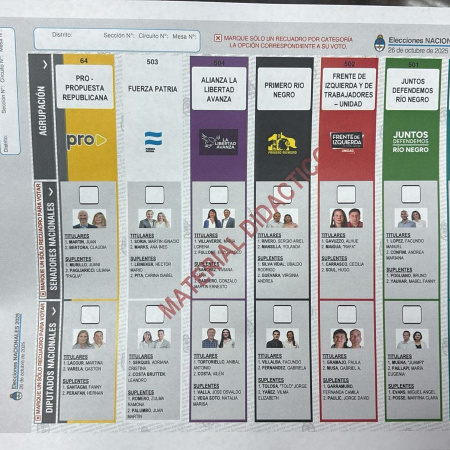 Río Negro: piden definir si la Boleta Única se aplicará en las elecciones de 2027