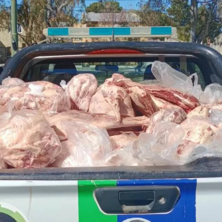 Viedma: decomisaron más de 3 toneladas de carne por irregularidades sanitarias