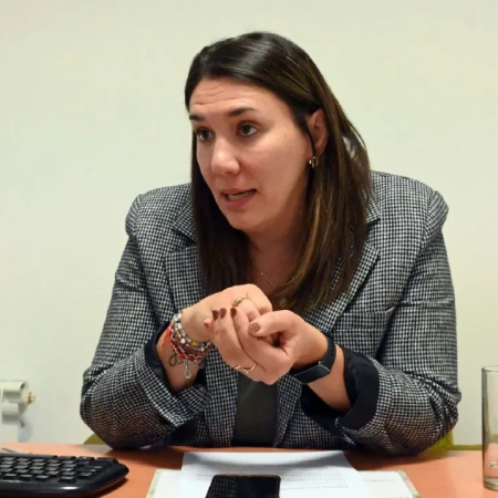 Viedma: Andría impulsa incentivos para inversiones y un calendario comercial